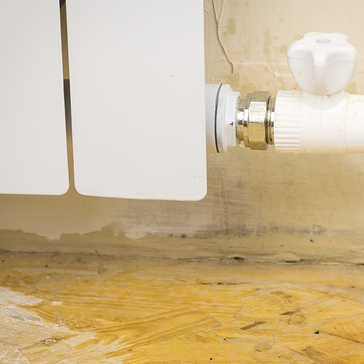 Flooded Home Starts With Leaking Pipes